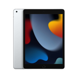 iPad 9na Generación Wi-fi  APPLE MK2P3LZ/A